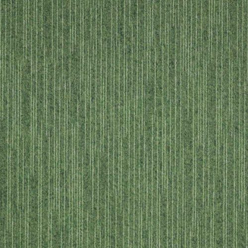 Green Parrot 129